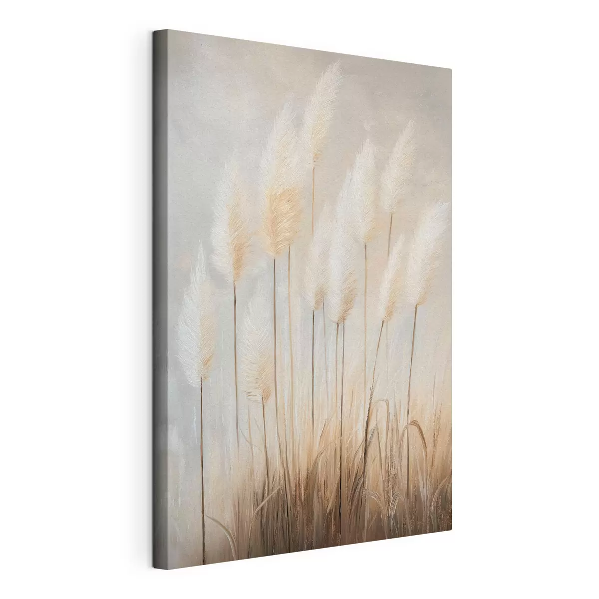 wall murals Pampas Grass s51150
