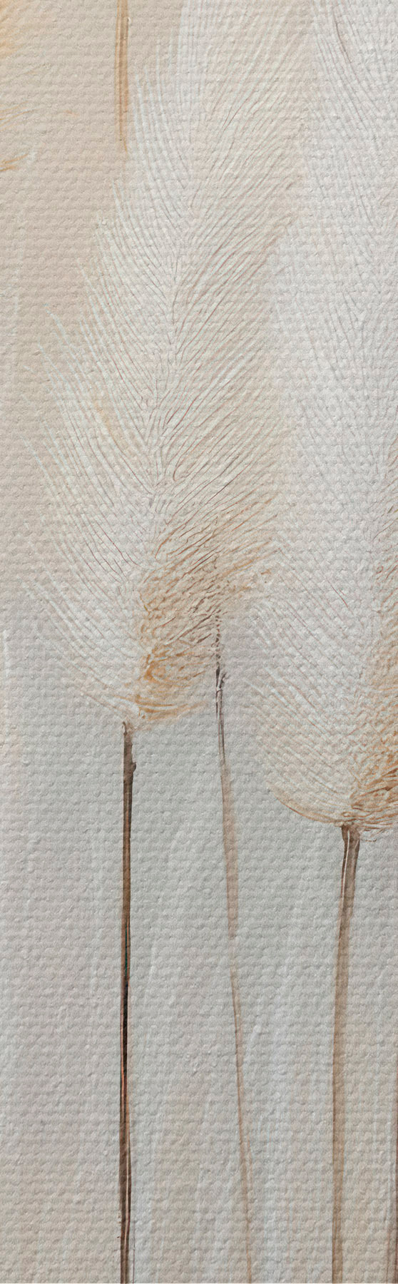 wall murals Pampas Grass s51150