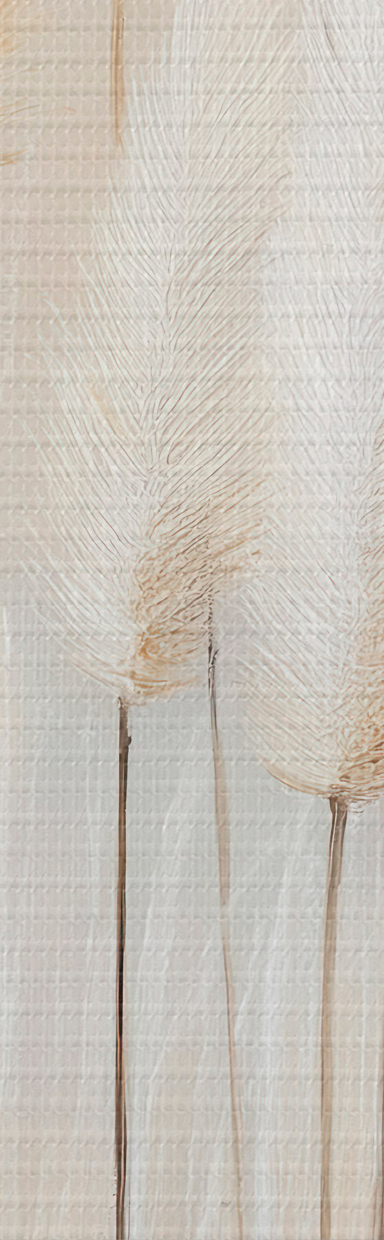 wall murals Pampas Grass s51150