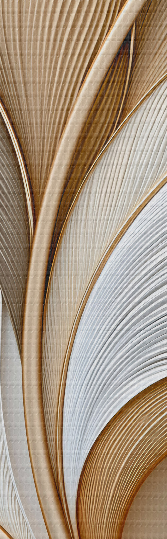wall murals Abstract leaves m31038
