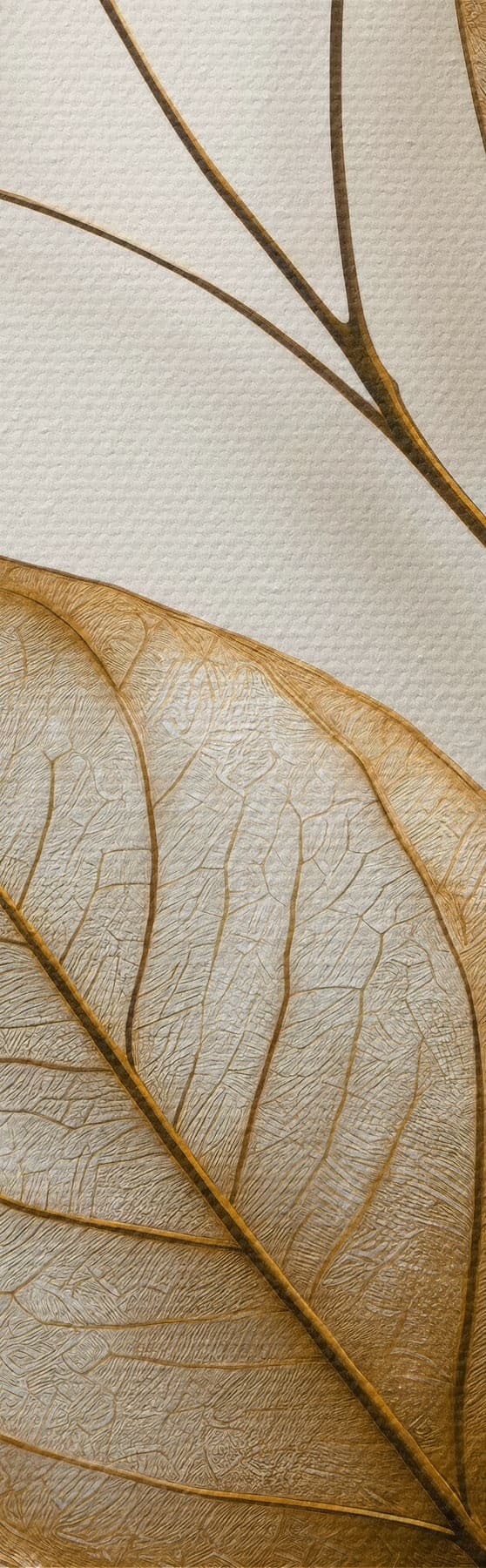 wall murals Elegant botanical branch s50866