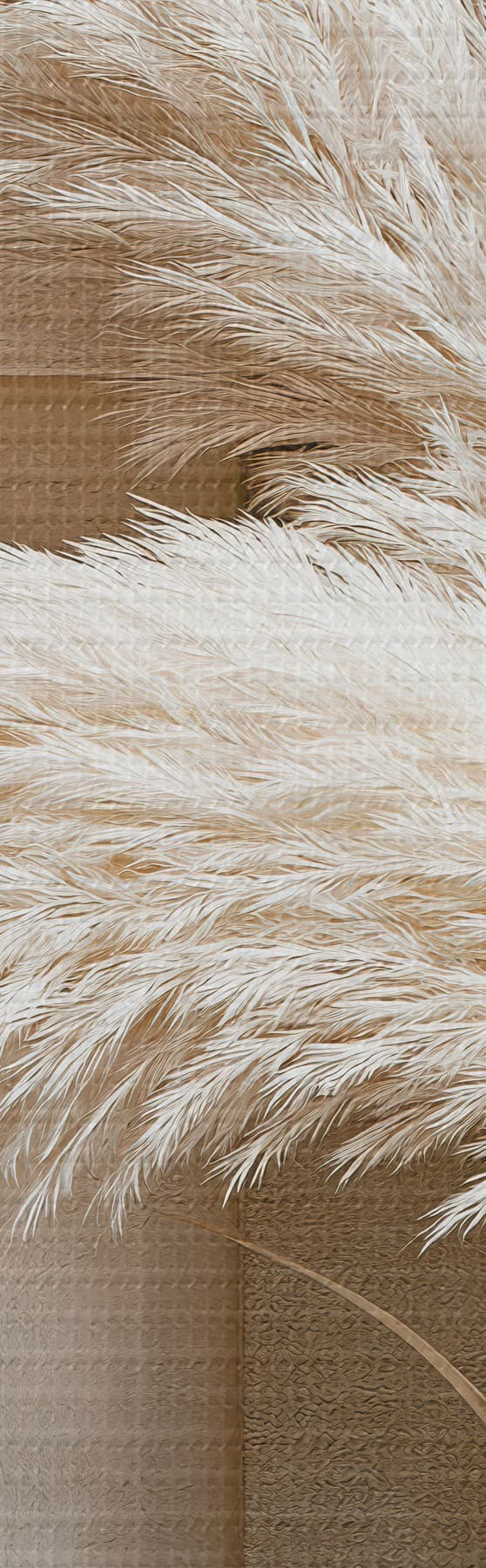 wall murals Pampas grass and geometric arches s50869