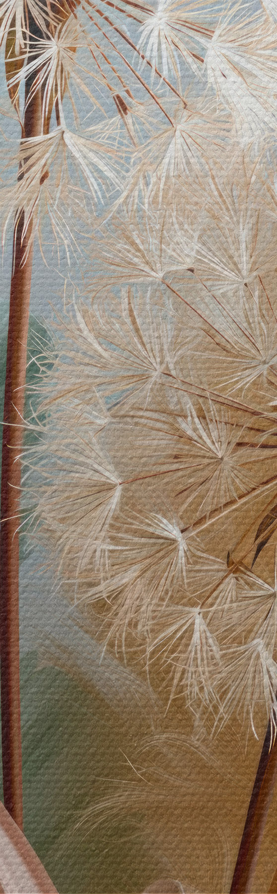 wall murals Delicate dandelions and wildflowers s51182