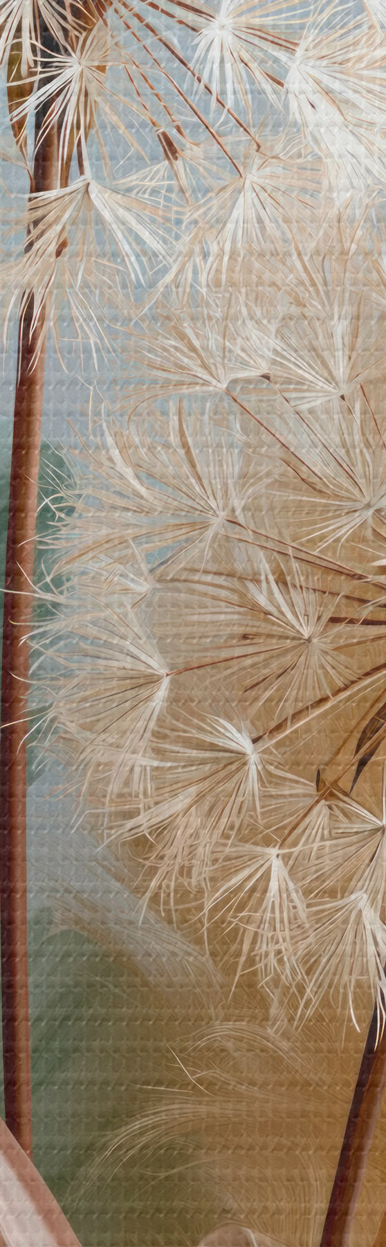 wall murals Delicate dandelions and wildflowers s51182