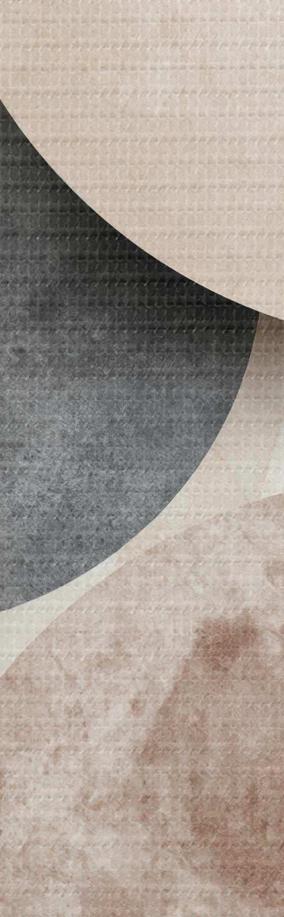 wall murals Abstract circles s51183