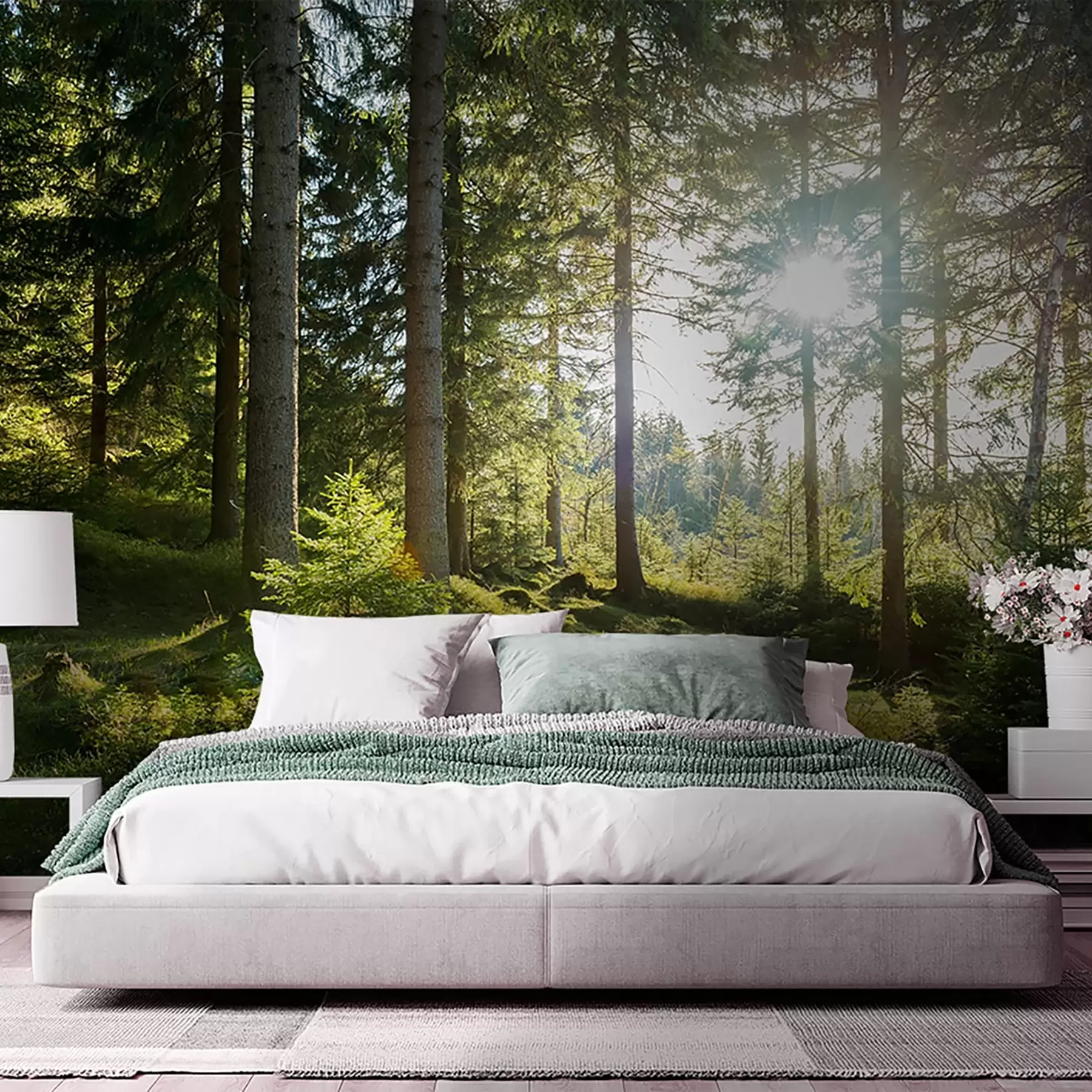 Wall Mural Photo Wallpaper Carkonoshe Mountains in Poland u80015