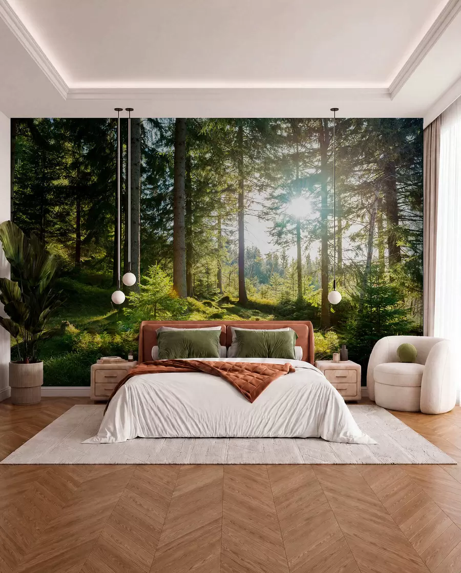 wall murals Carkonoshe Mountains in Poland u80015