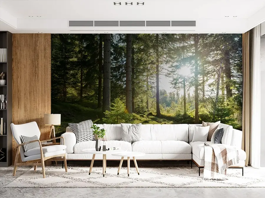 murales Montañas Carkonoshe en Polonia u80015