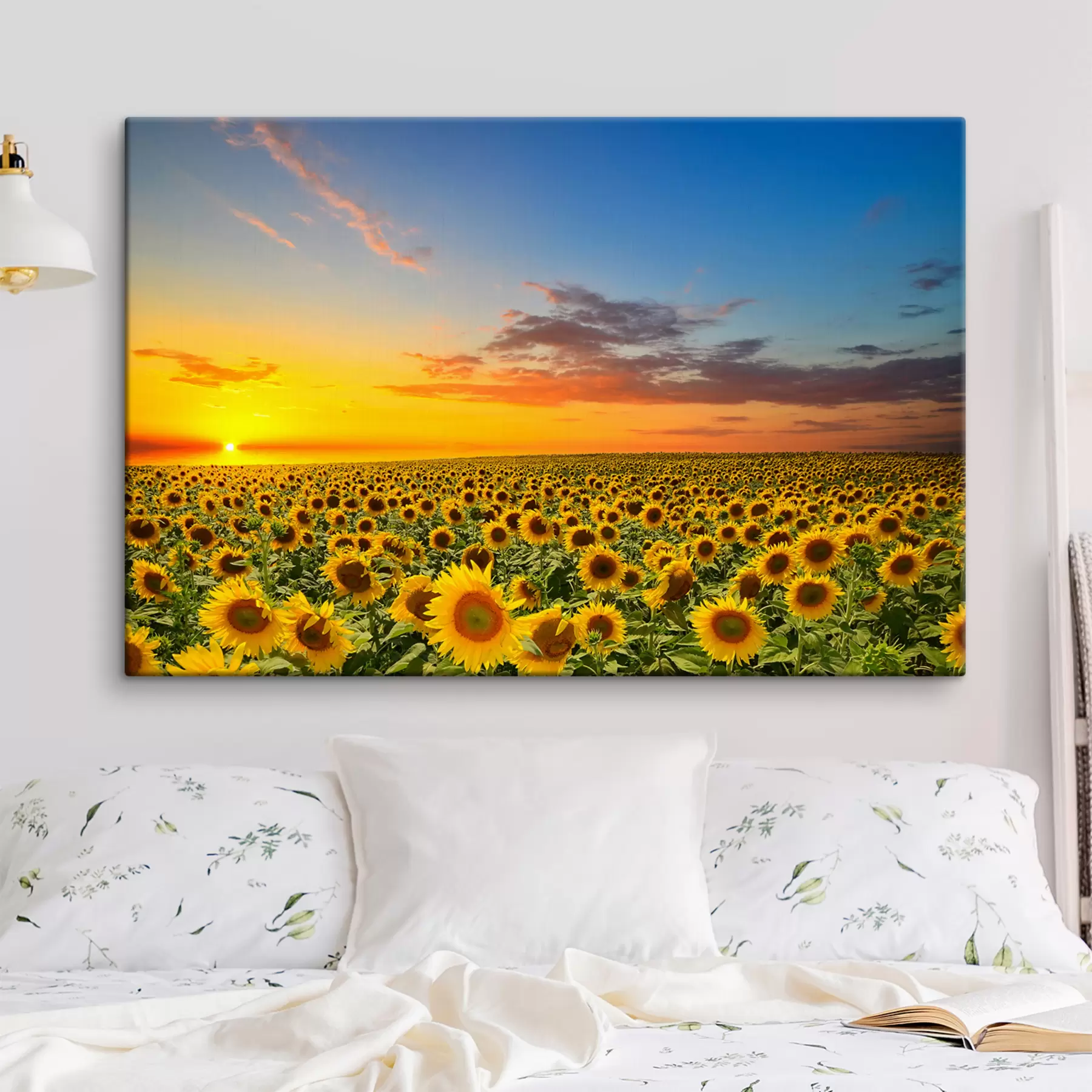 wall murals Sky, flower e plant s05429