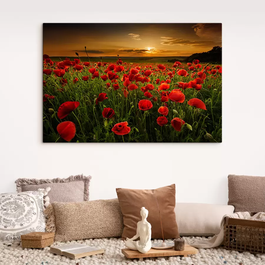 wall murals Flower, sky e plant s05477