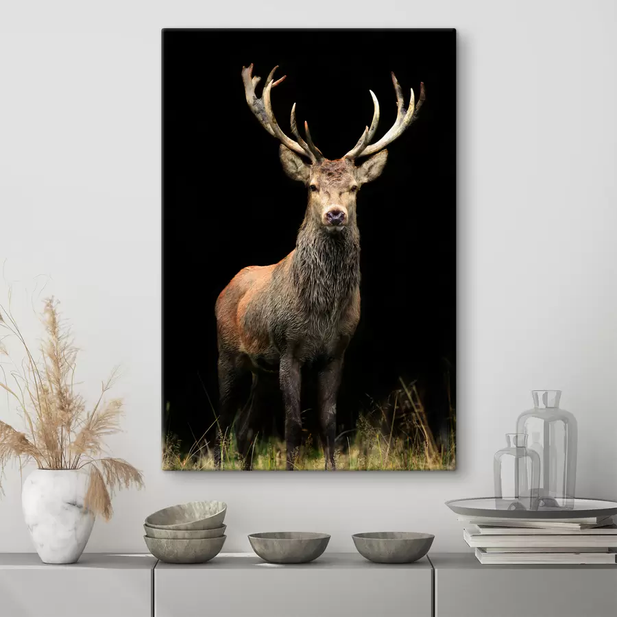 wall murals Elk, organism e deer s08154