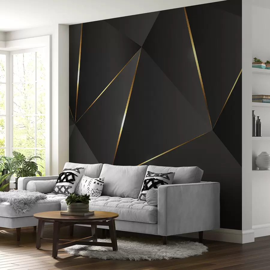 Wall Mural Photo Wallpaper 3D triangles with lines u73616