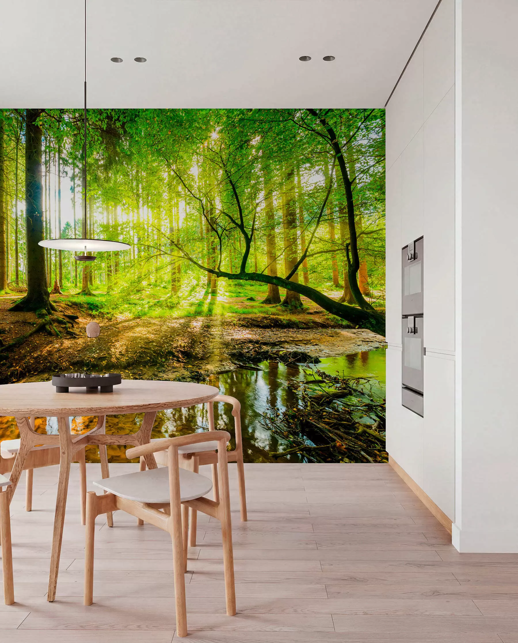 wall murals Sunlit Woodland Stream u93621