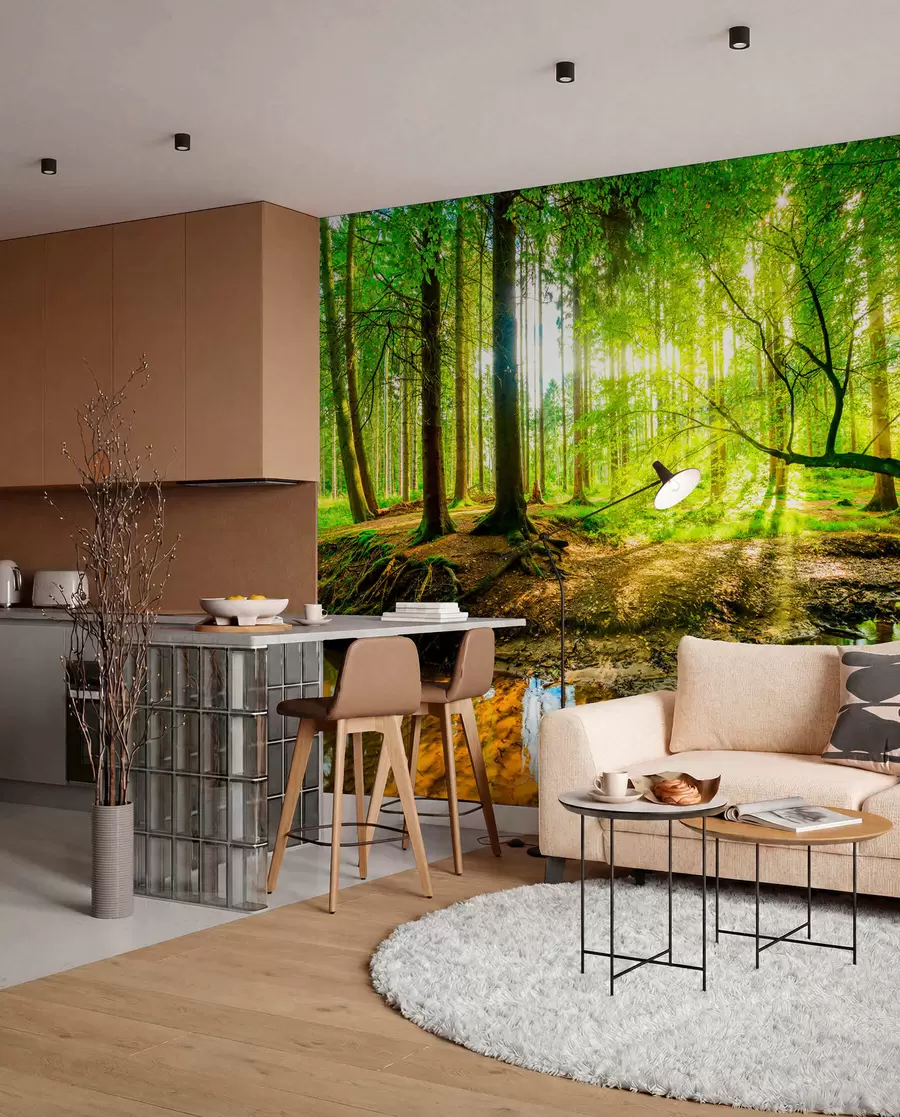 wall murals Transparency of the forest stream u93621