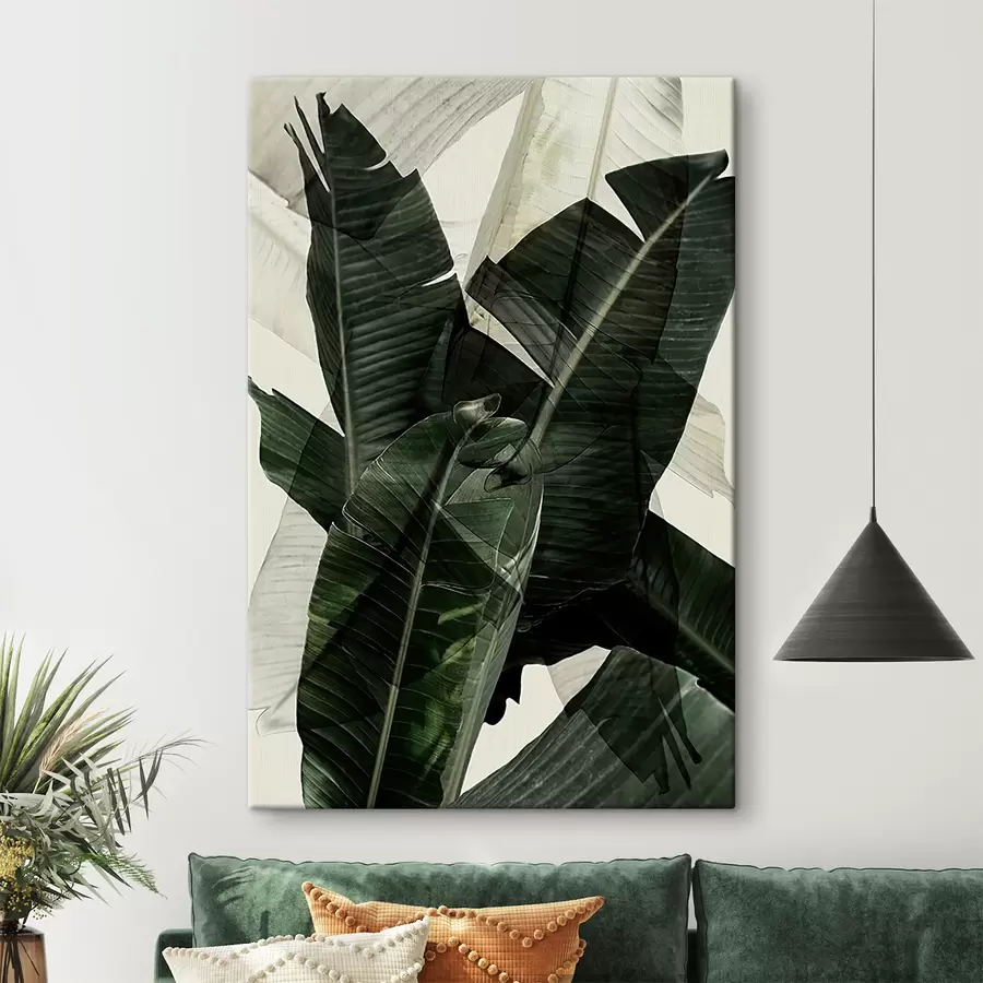 wall murals Plant, terrestrial plant and banana leaf s21747