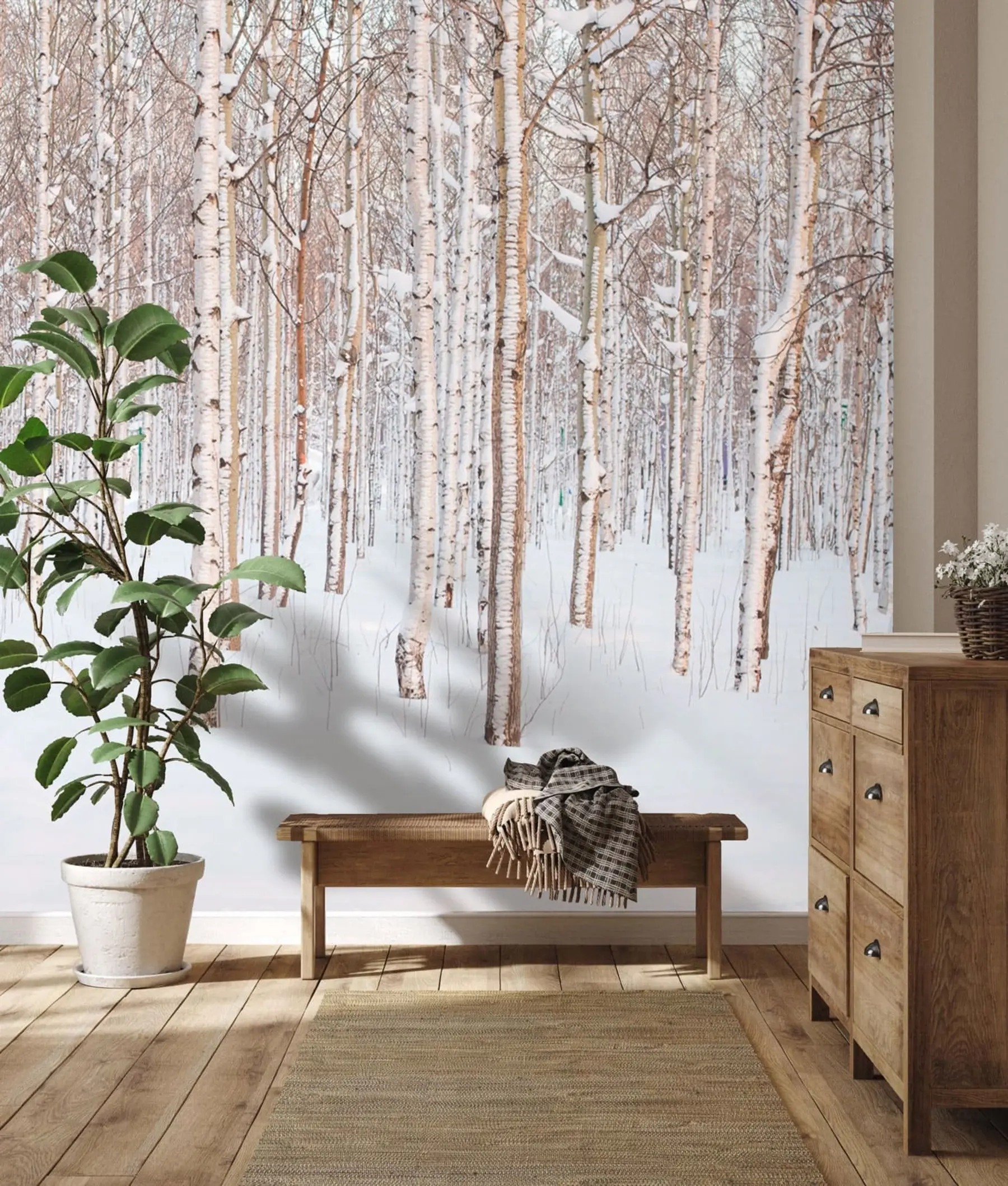 murais de parede Floresta de bétulas na neve u74232