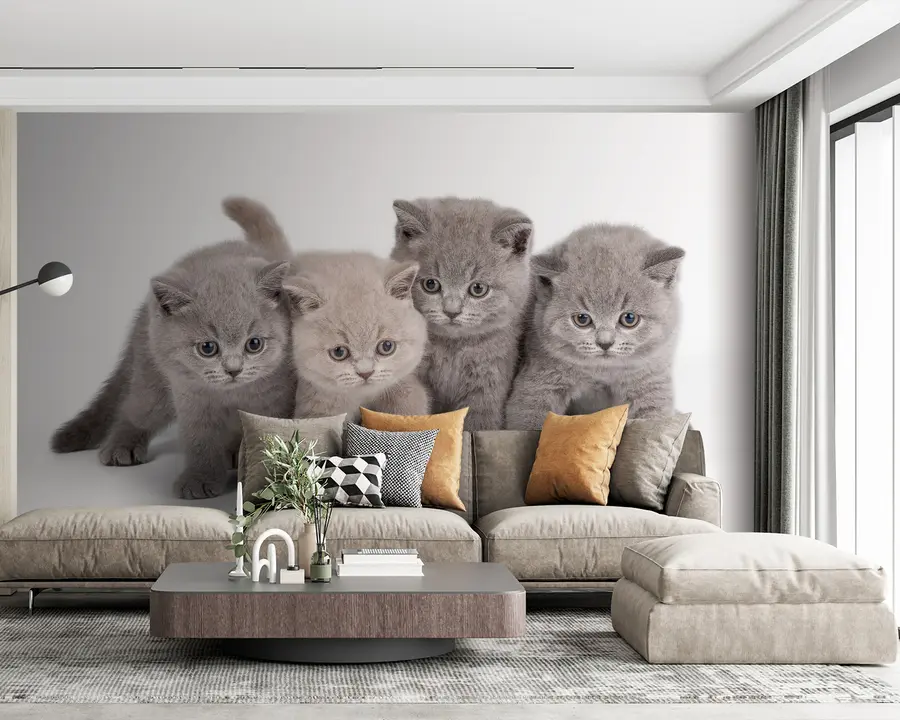 Wall Mural Photo Wallpaper Eye, cat and carnivore u55076