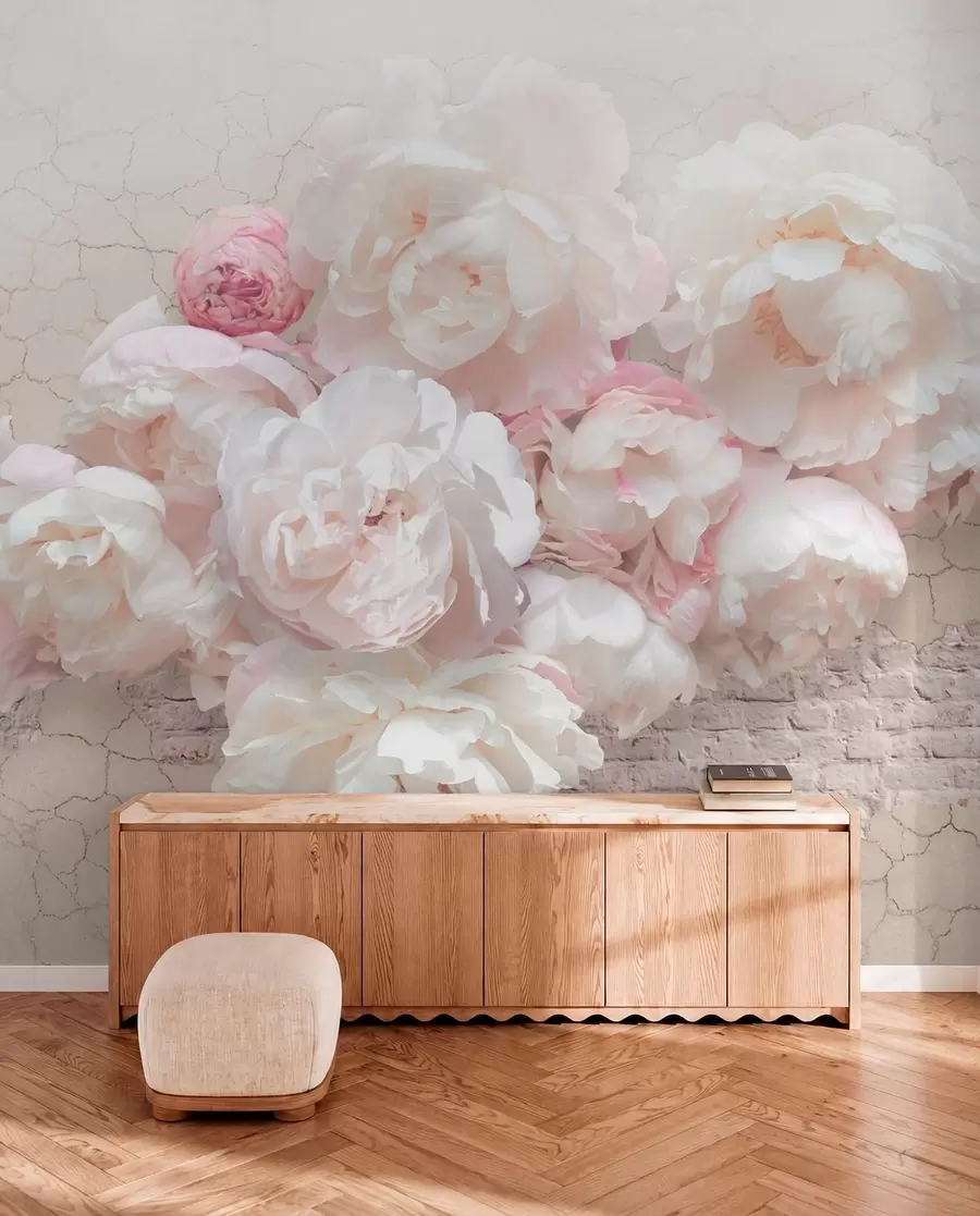 peintures murales Pivoines blanches sur un mur délabré u79549