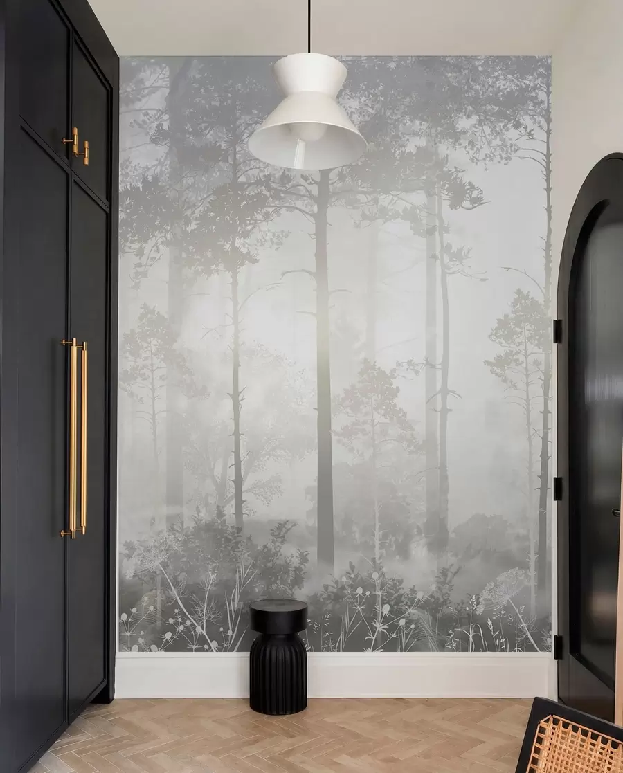 murales Bosque en la niebla u94439