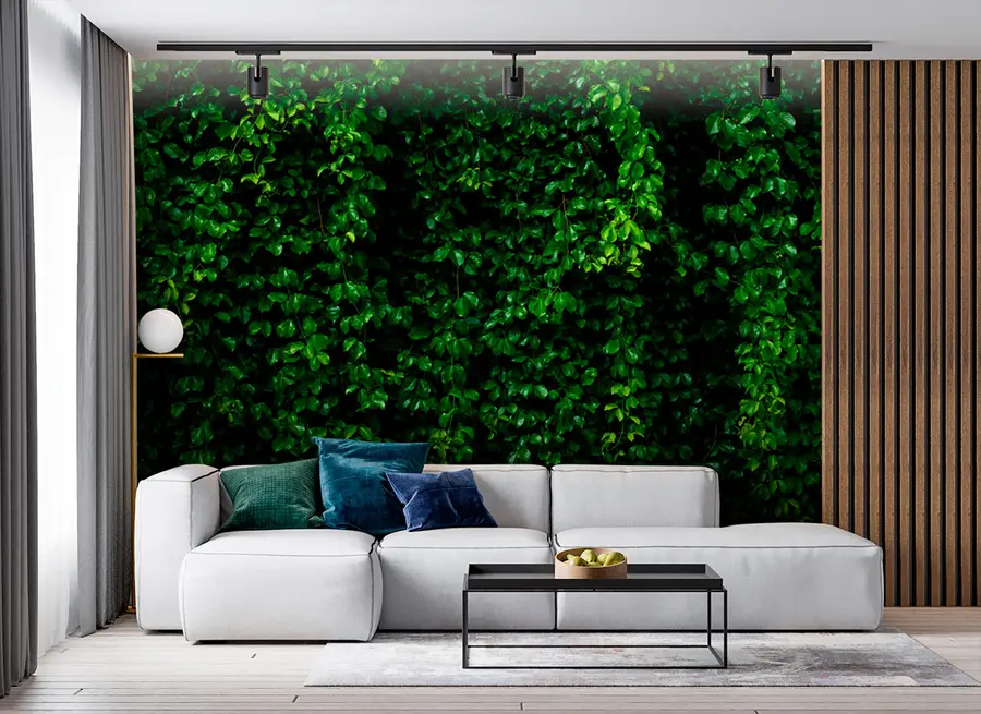 Wall Mural Photo Wallpaper dark green tropical leaf u94381