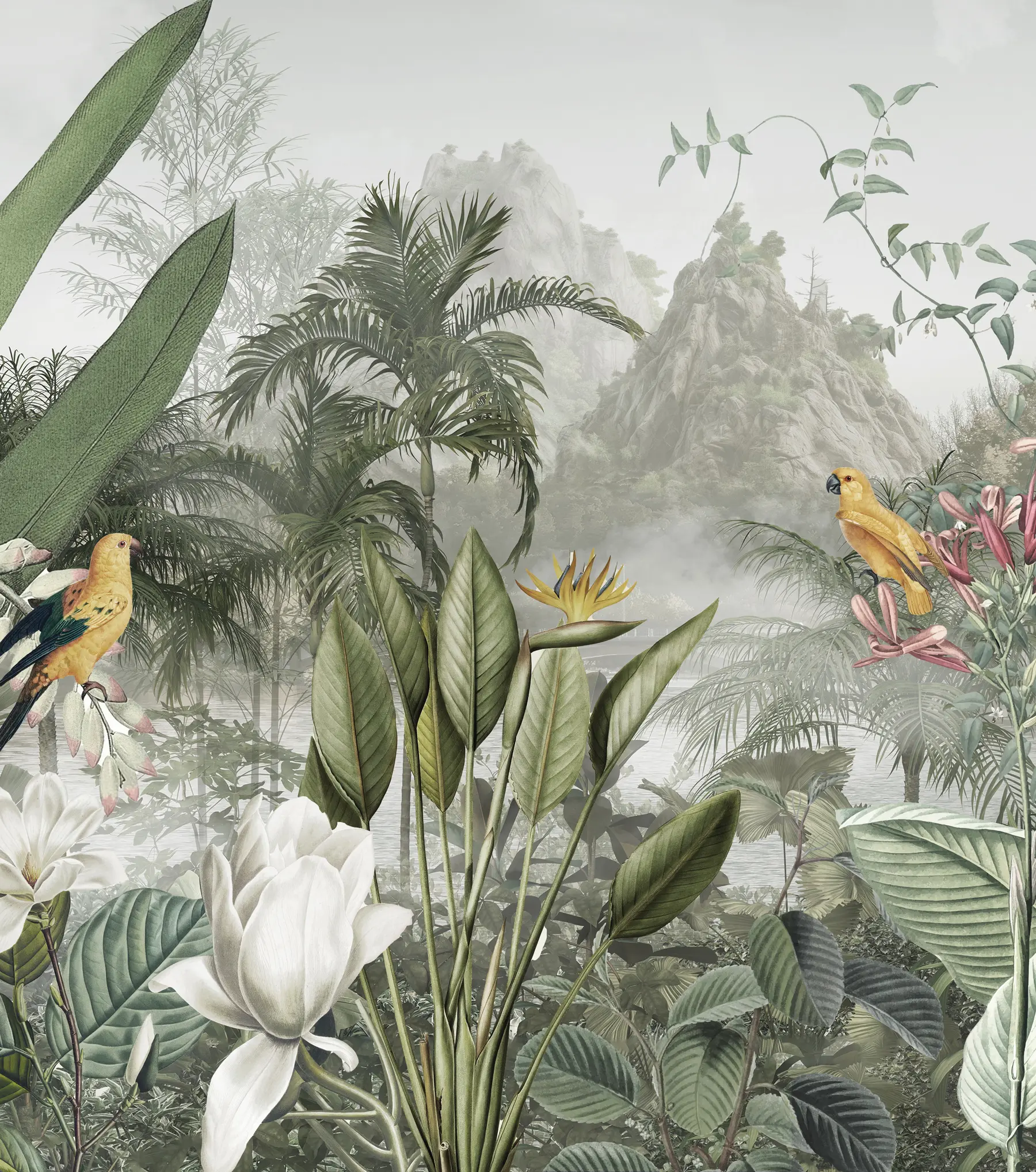 murales selva tropical u95396