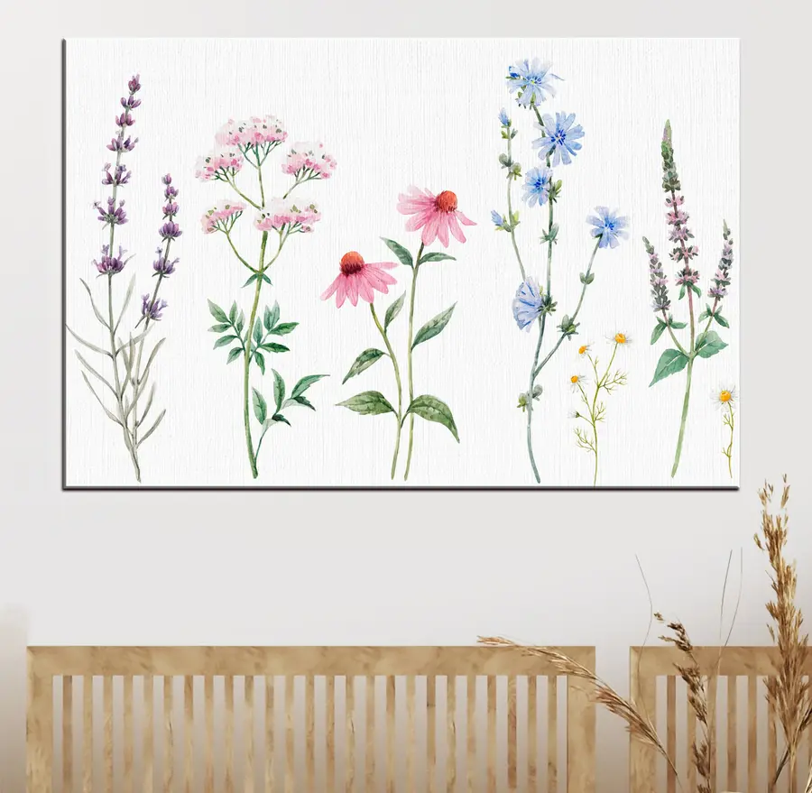 murales Flor, planta y pétalo s34064