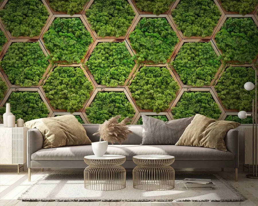 Wall Mural Photo Wallpaper Moss flower modules in hexagonal wooden frames u95502