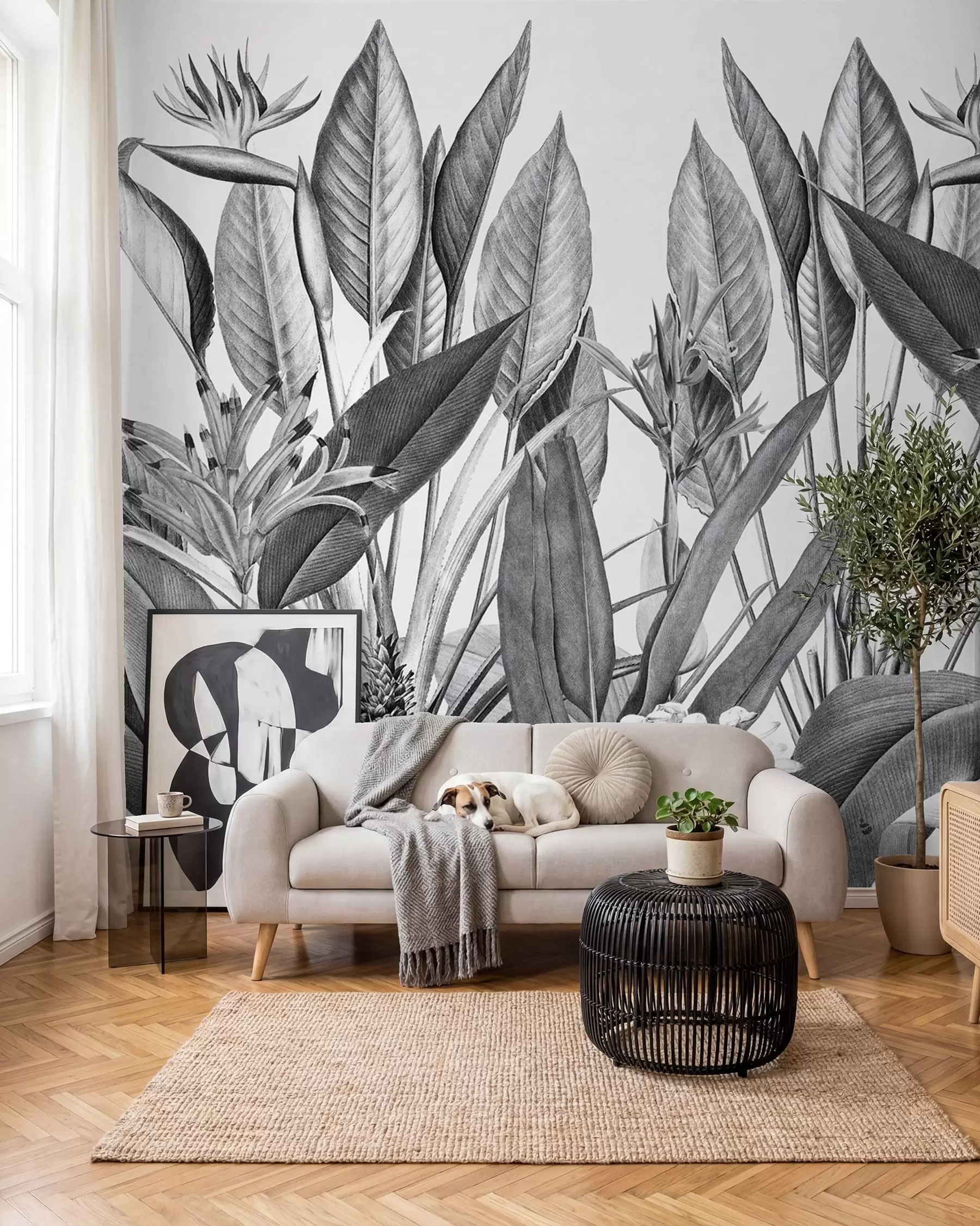 wall murals Tropical jungle plants black and white color u96833