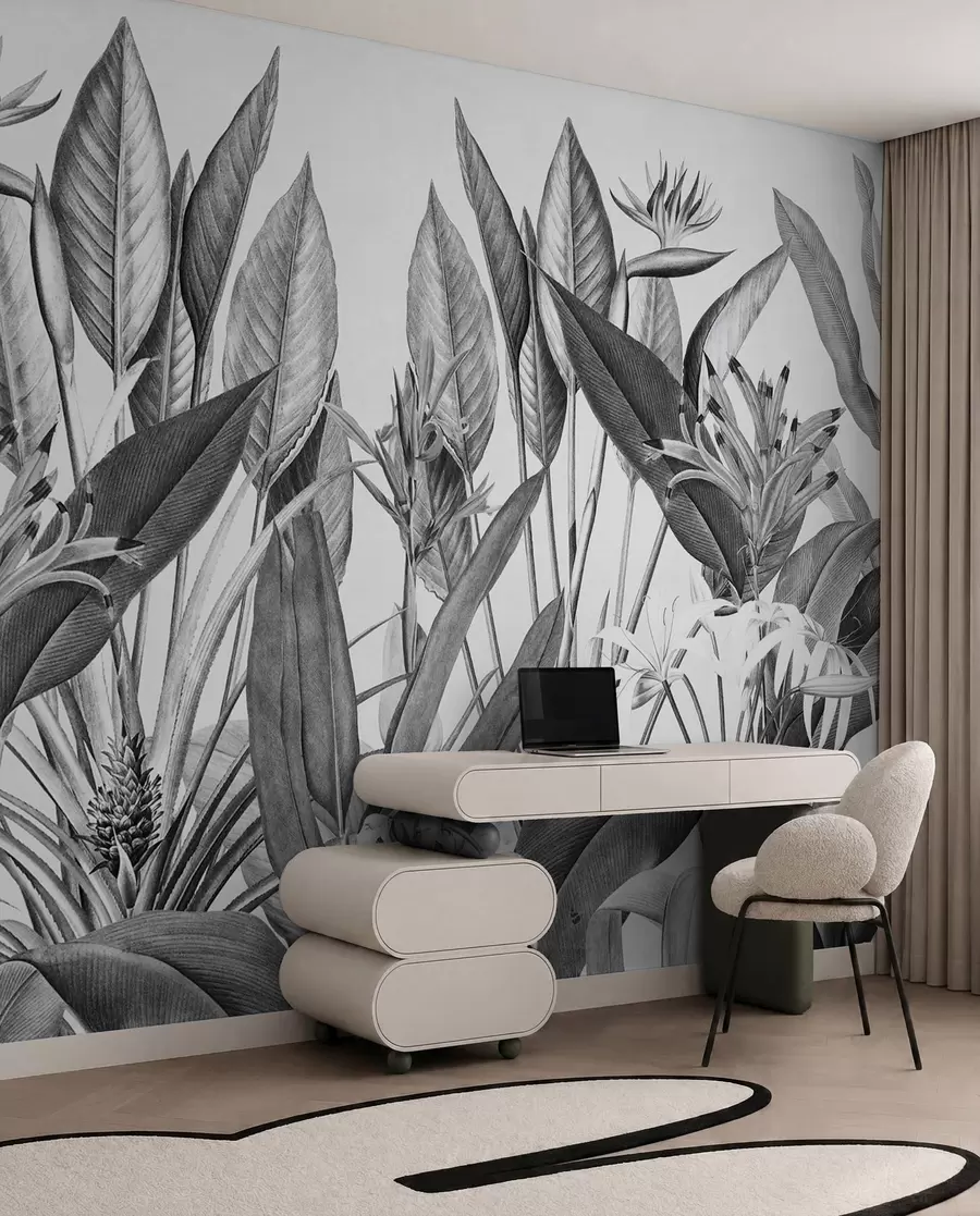 wall murals Tropical jungle plants black and white color u96833