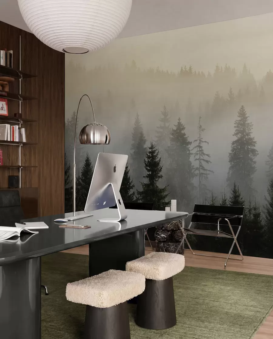 wall murals Dark spruce silhouette surrounded by mist u96999