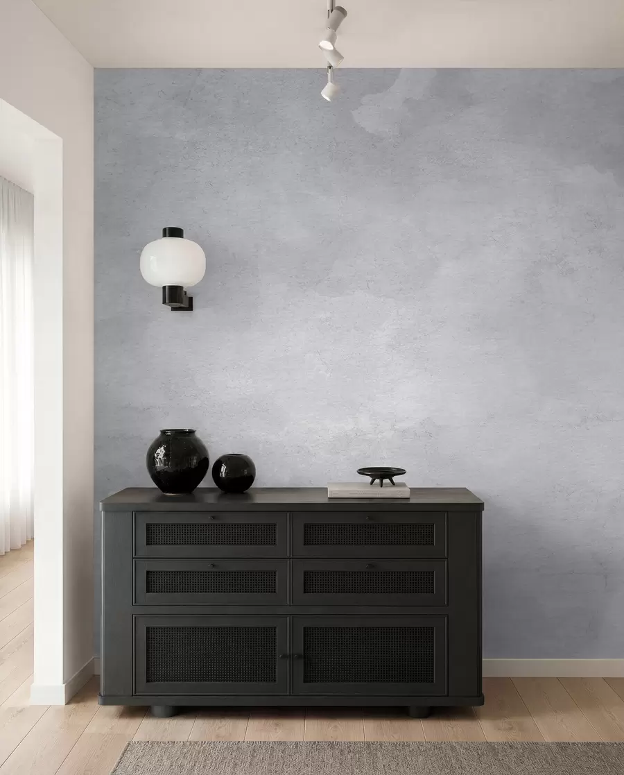peintures murales Béton gris fumé u97232