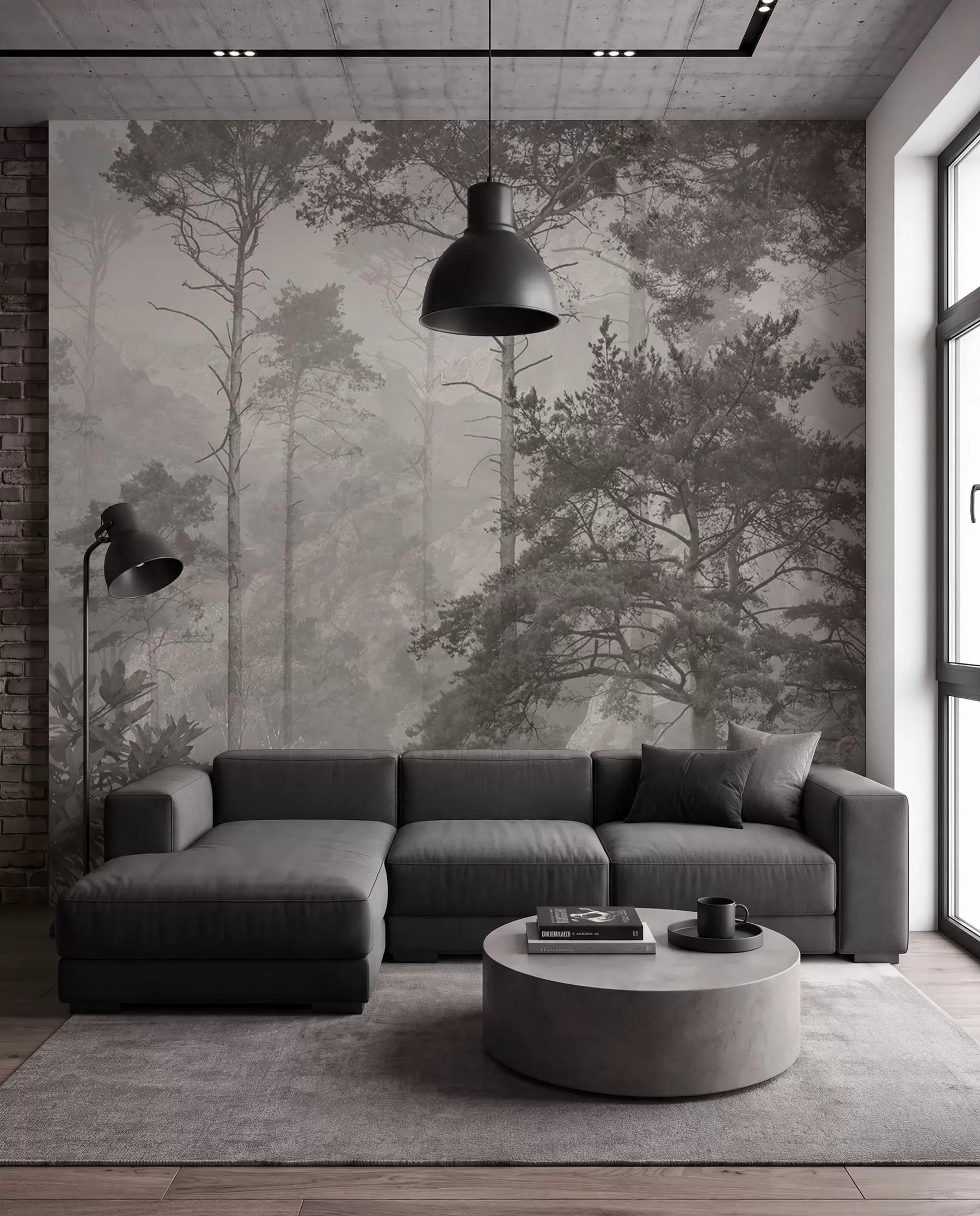 peintures murales Grands arbres sur les collines, forêt dans le brouillard u97190