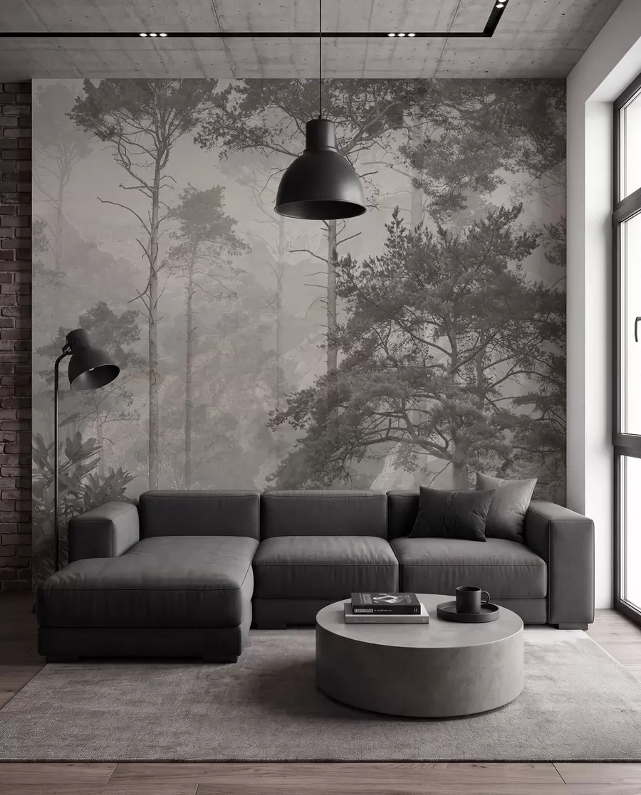 peintures murales Grands arbres sur les collines, forêt dans le brouillard u97190