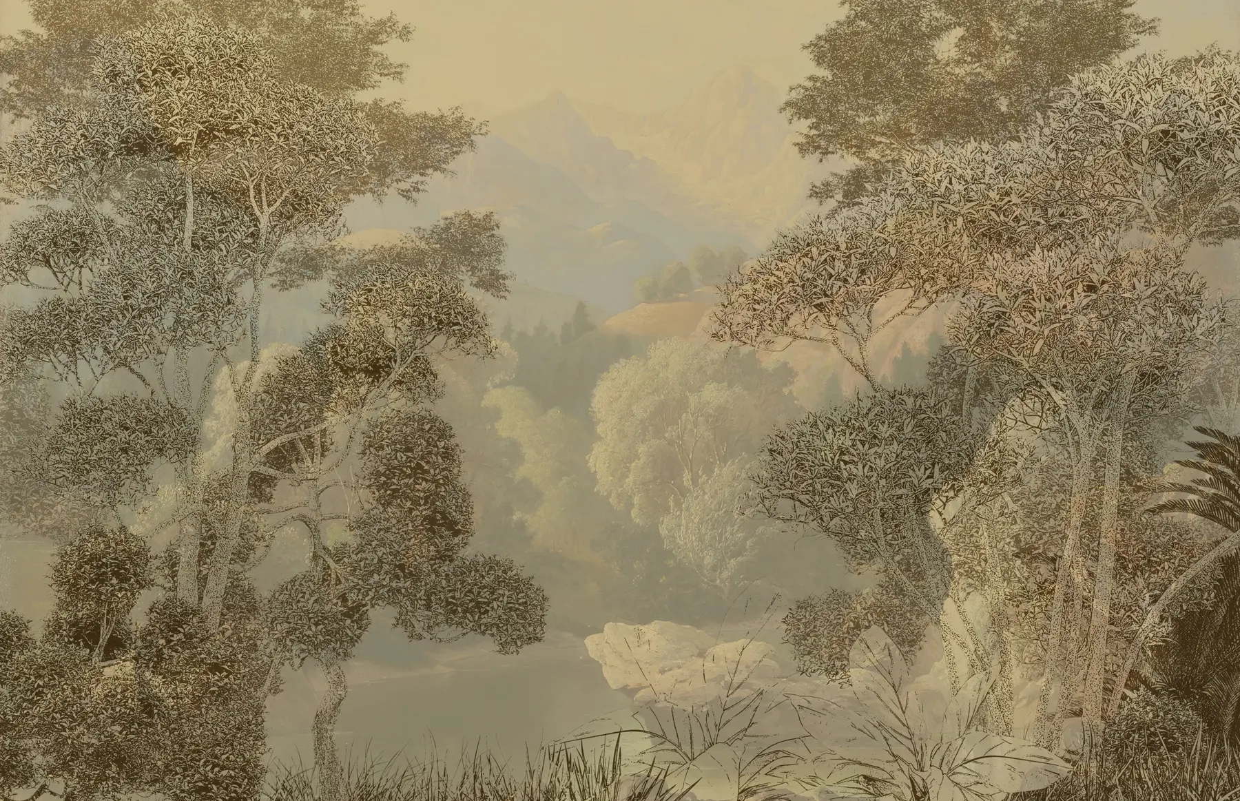 wall murals Tropical forest in brown tones u97403