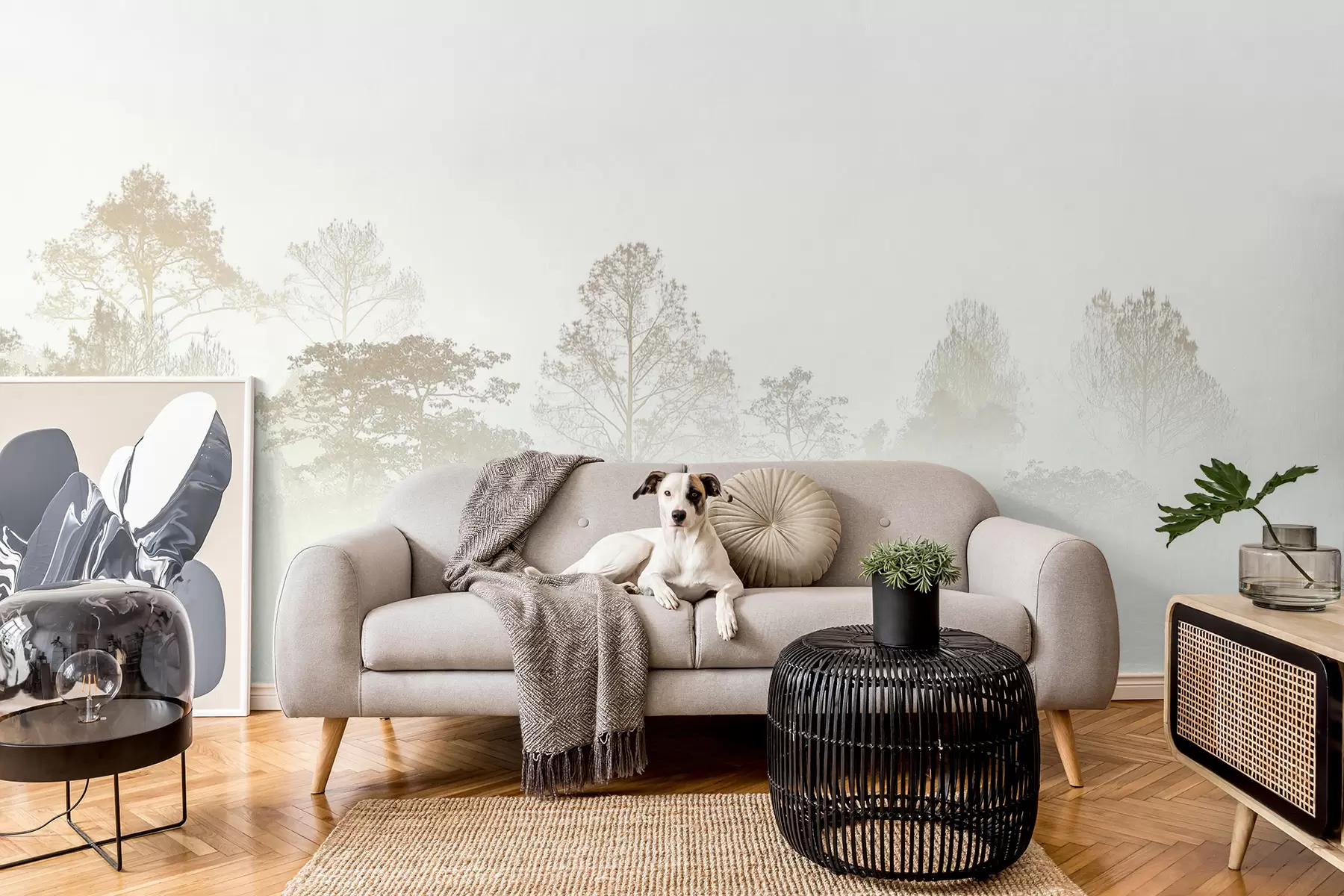 murales Silueta de una arboleda en la espesa niebla blanca de la mañana u97405