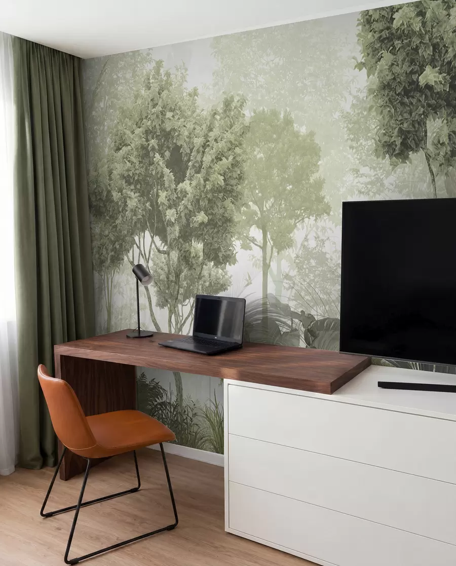 wall murals Morning in the depths of the forest u97409
