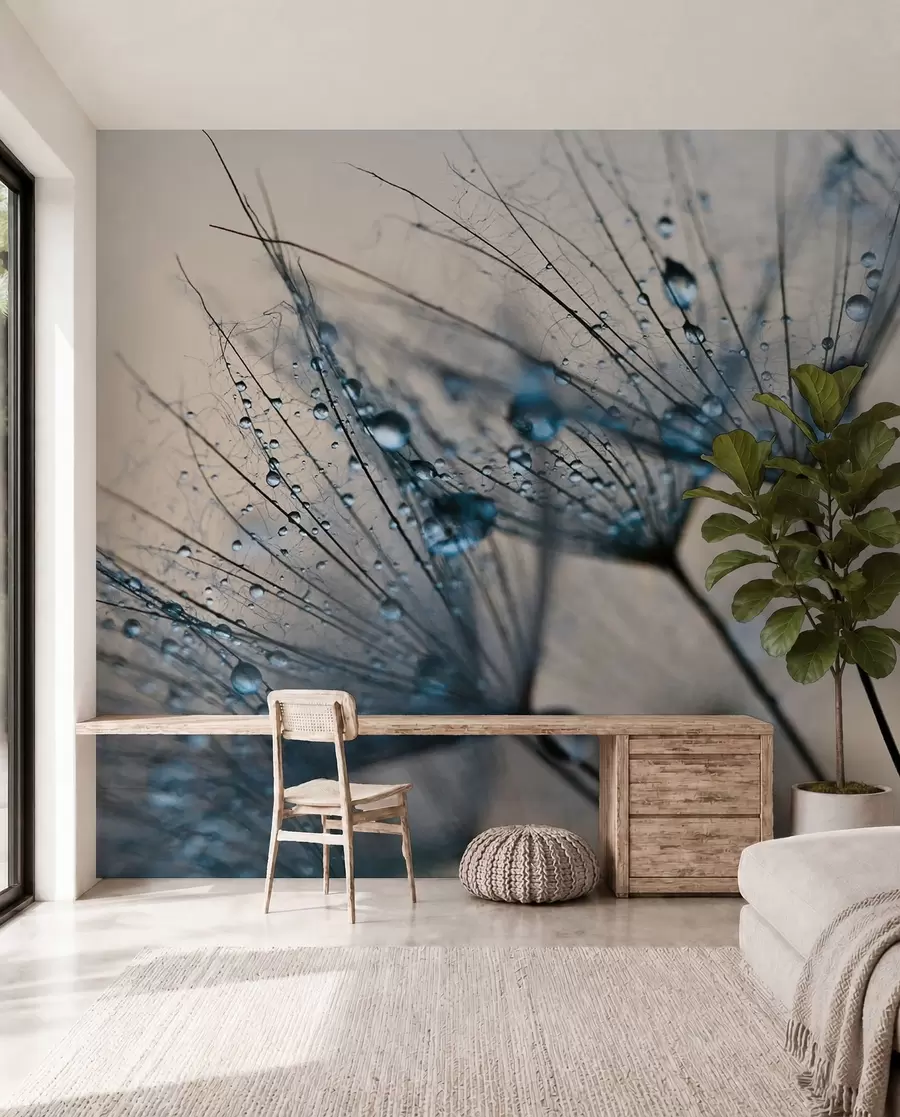 peintures murales Rosée de pissenlit bleue u57557v1