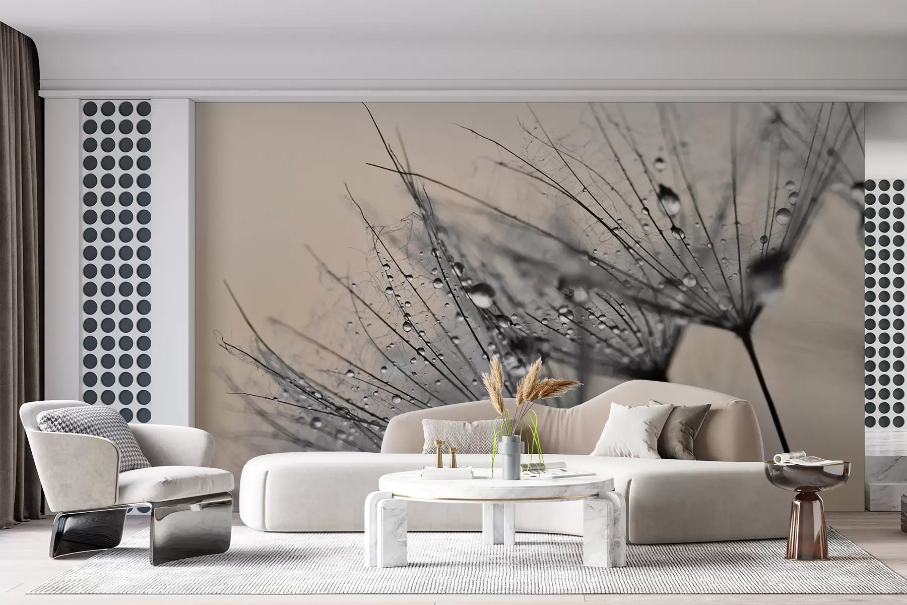 murais de parede Dentes de leão com gotas de água cinzenta u57557v2