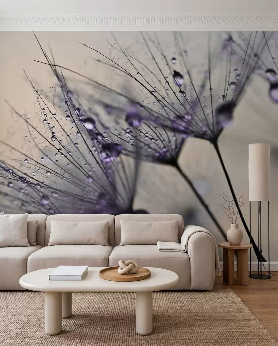 wall murals Dandelion Dew in Violet u57557v3