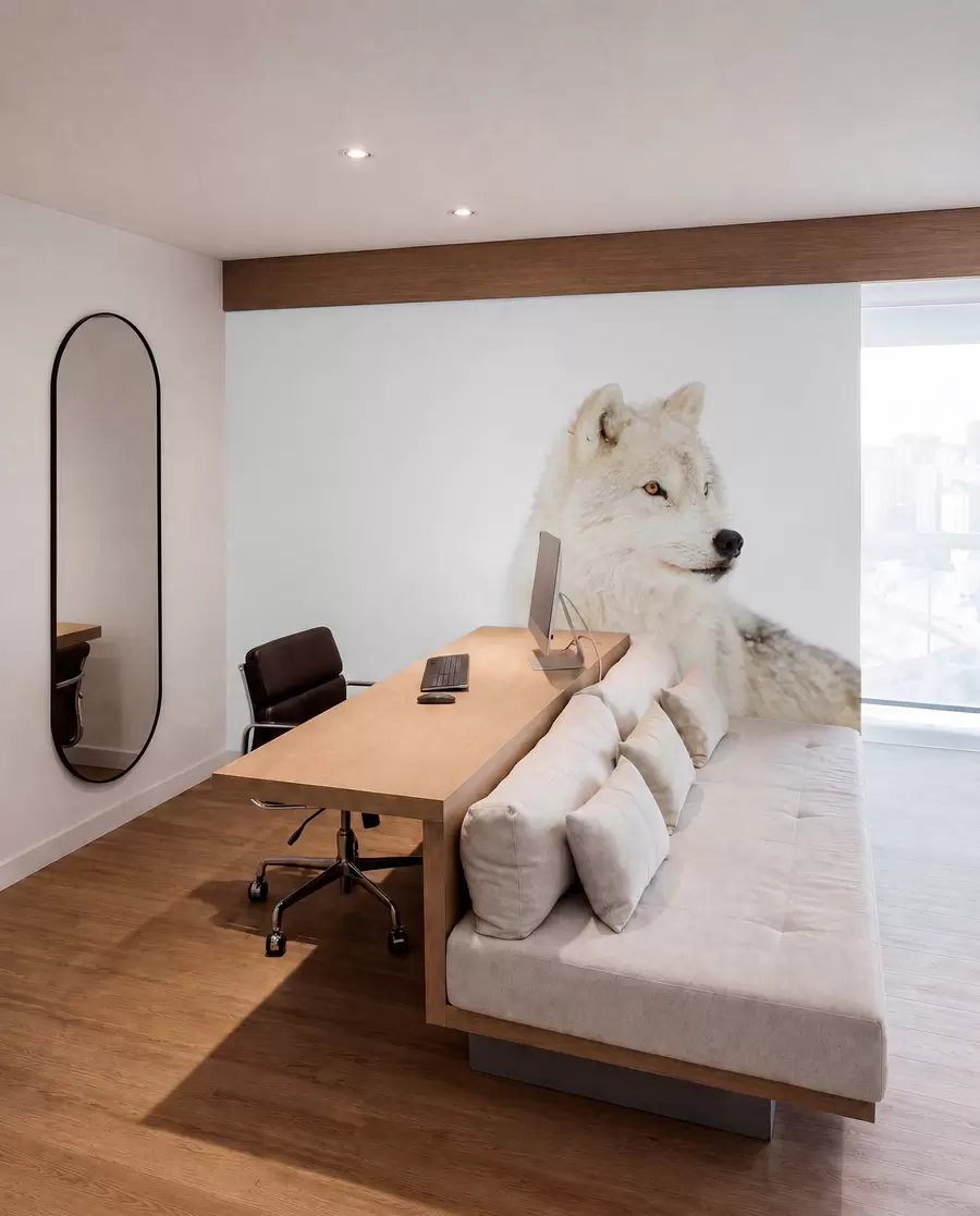 peintures murales Loup arctique sur fond blanc u98189
