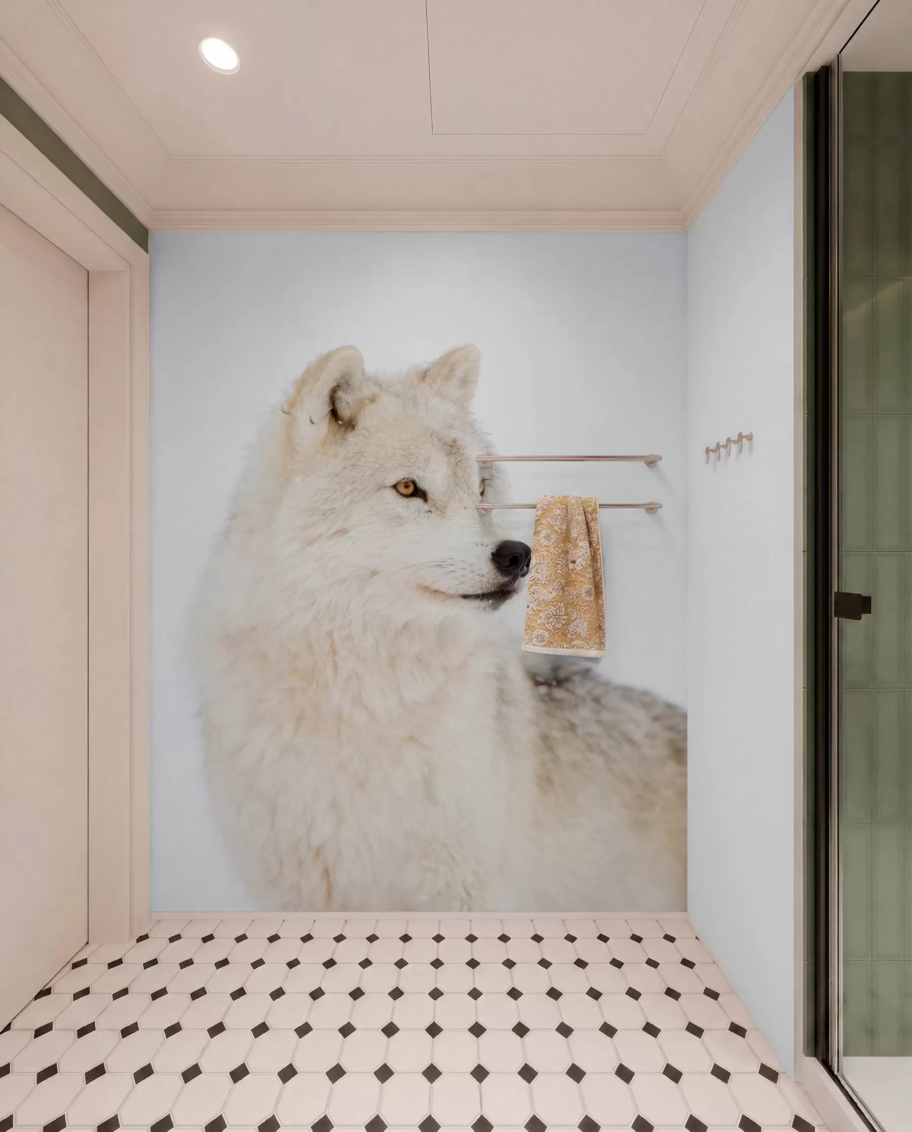 wall murals Arctic wolf on white background u98189