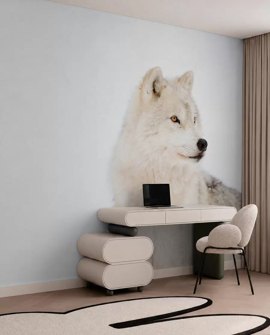 Wall Mural Photo Wallpaper Arctic wolf on white background u98189