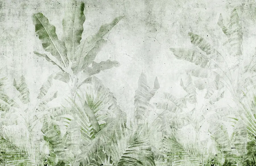 wall murals Banana leaves on the concrete wall u73886v3