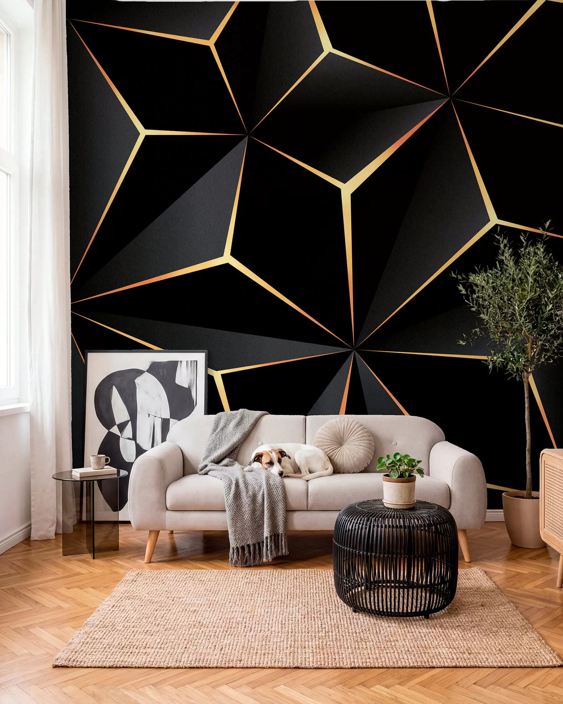 Wall Mural Photo Wallpaper Black triangle u72104d1