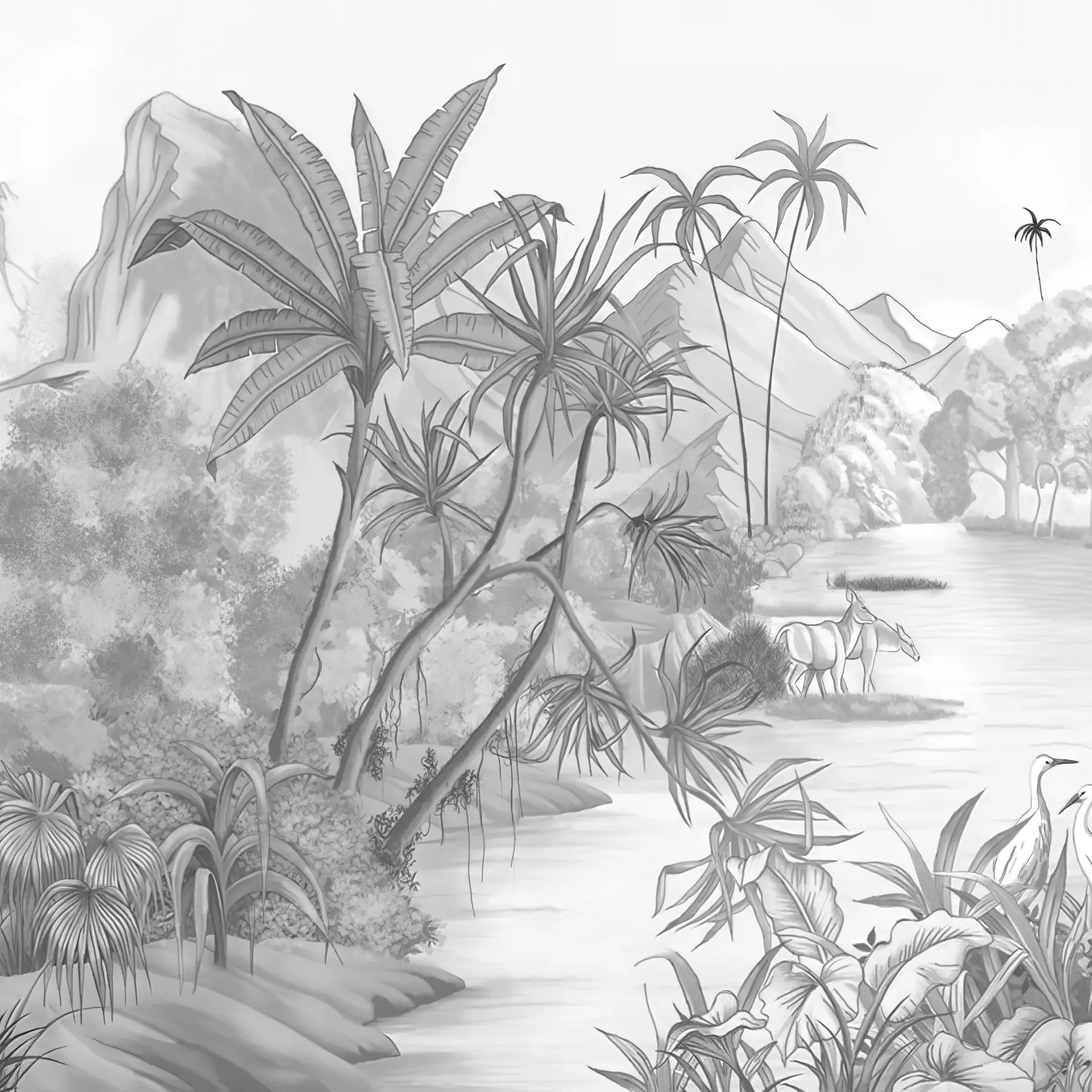 Wall Mural Photo Wallpaper Black and white tropics u59039d1